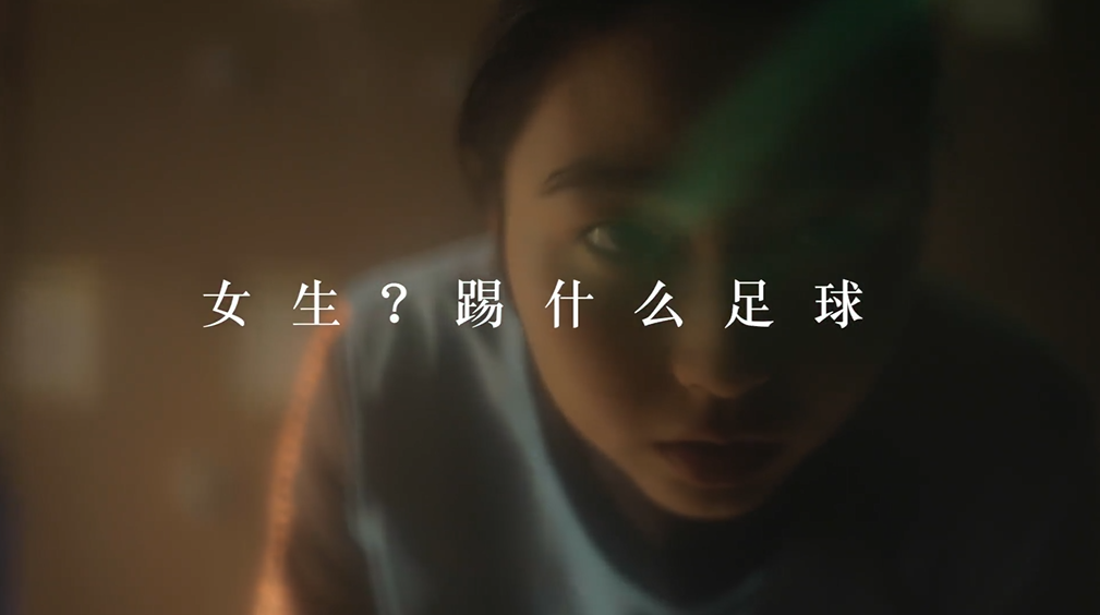 体育6686股份