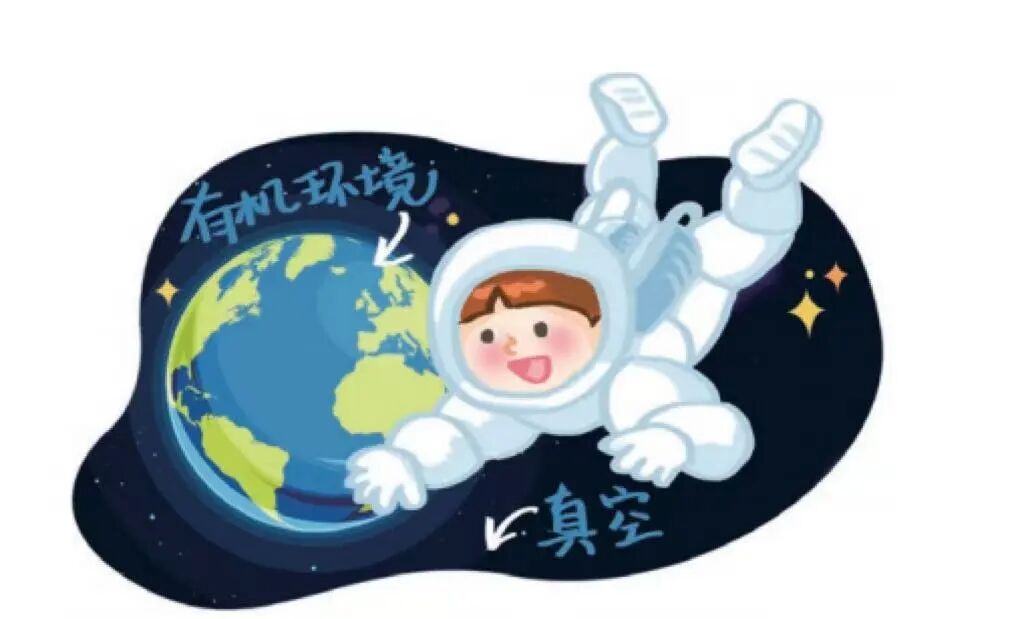 体育6686股份
